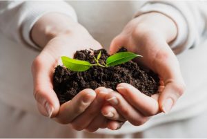 Sustentabilidade