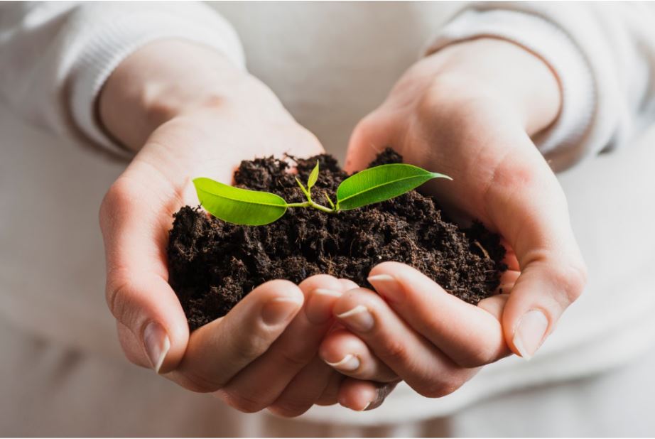 Sustentabilidade