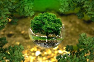 Sustentabilidade