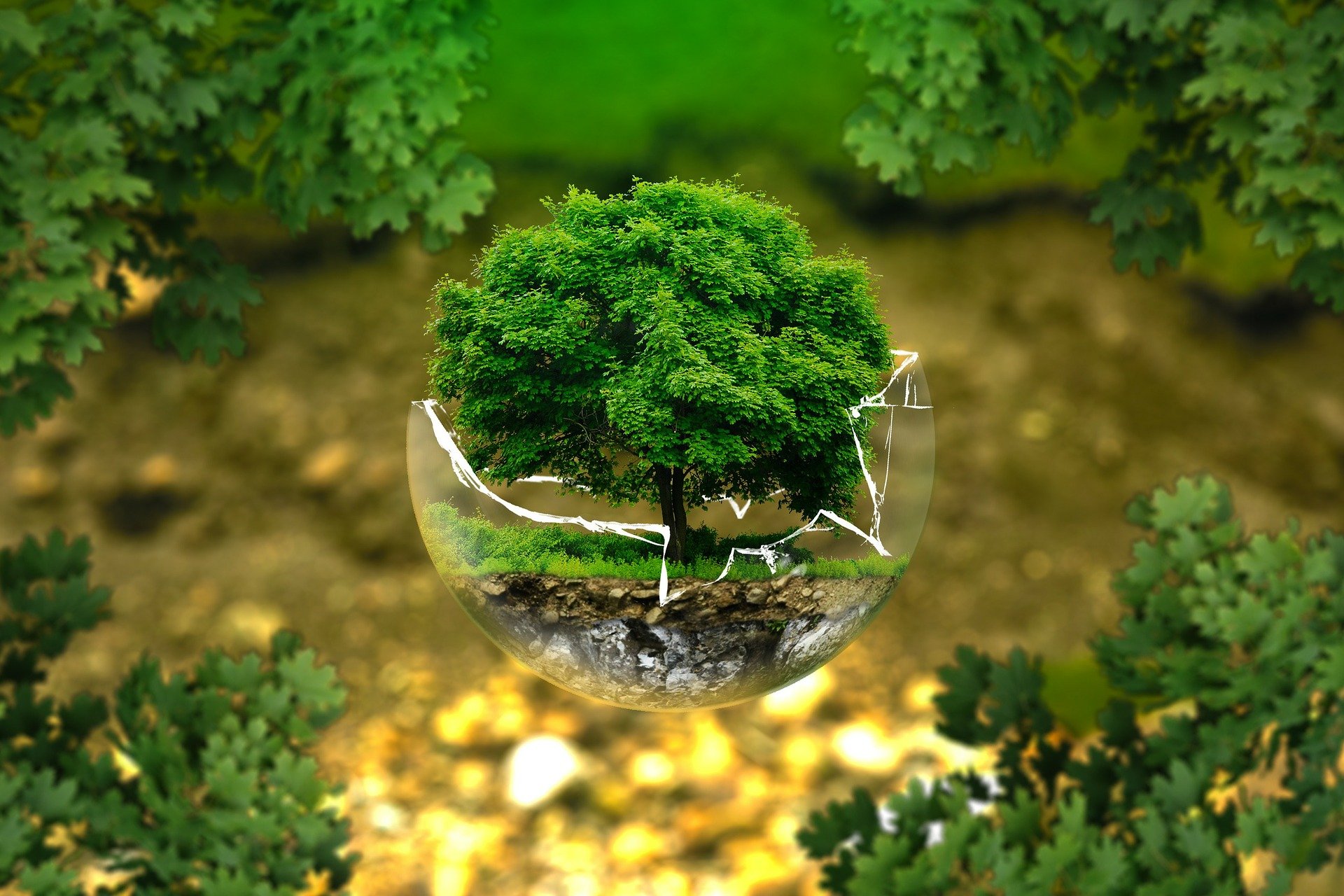Sustentabilidade