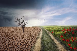 Alterações Climáticas