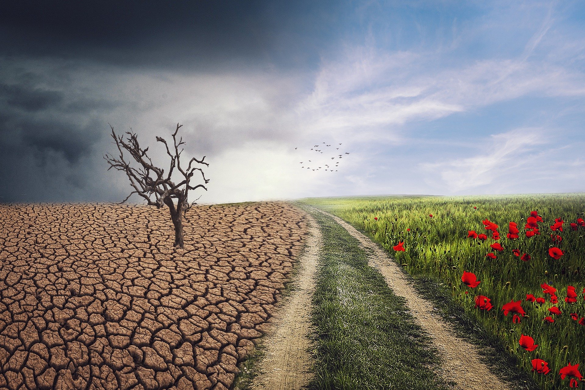 Alterações Climáticas